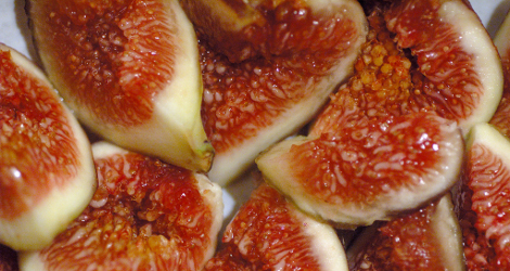 Ficus carica