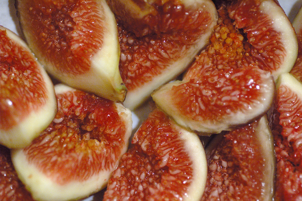 Ficus carica
